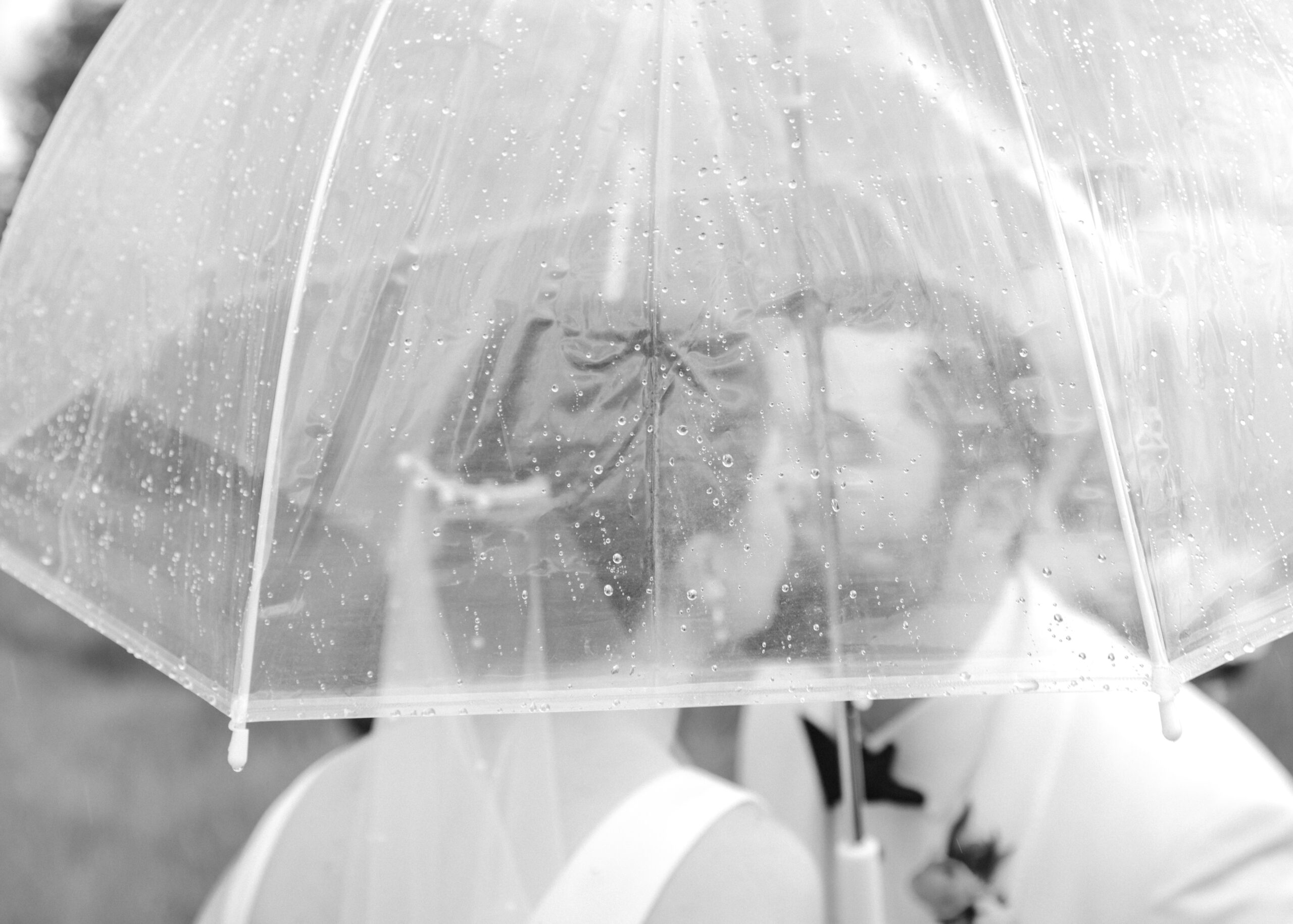 Cranbrook photographer