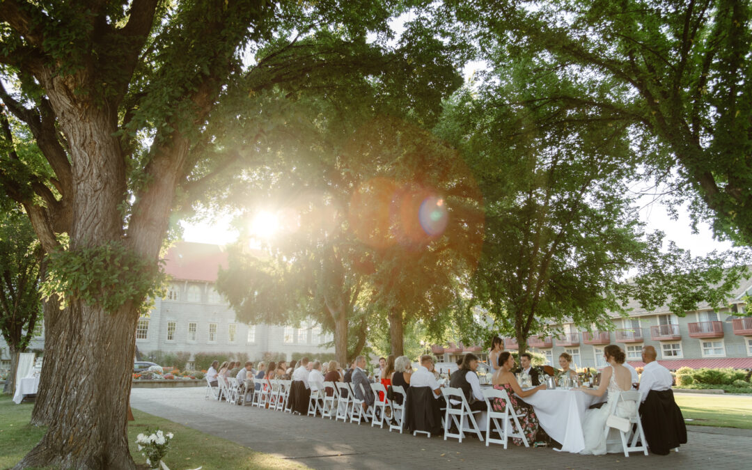 Everlasting I Do’s in Cranbrook: Your 2026 Wedding Guide