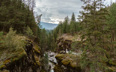 Top Wedding Photographer in British Columbia | 2025 Recognition